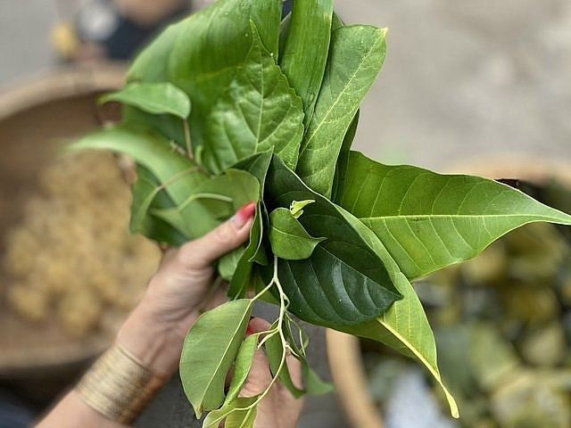 ទីផ្សារពិសេសរបស់ជនជាតិវៀតណាម ជំនួសលុយវិញ គេជួញដូរជាមួយ... ស្លឹកឈើ ទីផ្សារពិសេសរបស់ជនជាតិវៀតណាម ជំនួសលុយវិញ គេជួញដូរជាមួយ... ស្លឹកឈើ