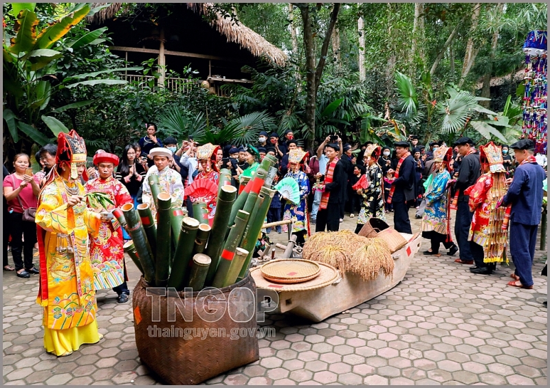 ពិធីបុណ្យស្រូវថ្មីប្លែករបស់ជនជាតិតៃ