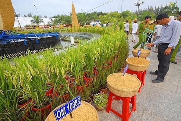 ເປີດງານບຸນເທດສະການເຂົ້າຫວຽດນາມຄັ້ງທີ V