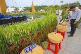 ເປີດງານບຸນເທດສະການເຂົ້າຫວຽດນາມຄັ້ງທີ V