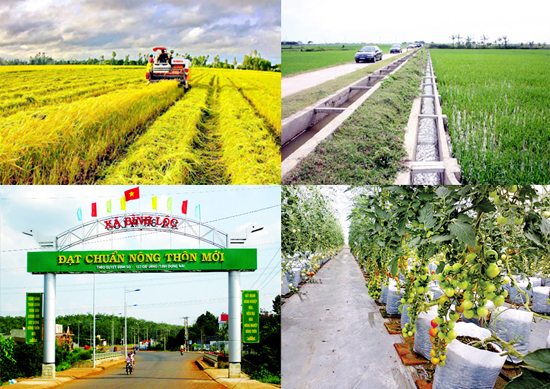 ການຈັດຕັ້ງປະຕິບັດແຜນງານເປົ້າໝາຍແຫ່ງຊາດການສ້າງຊົນນະບົດໃໝ່ ໄລຍະ 2021-2025 ໃຫ້ມີປະສິດທິຜົນ