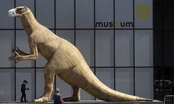 museums worldwide at the risk of being shut down by pandemic warned un