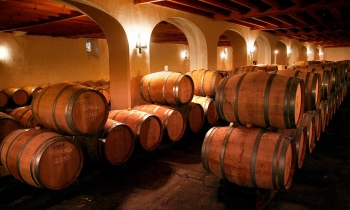 tons of unsold french wine to be turned into hand sanitizer