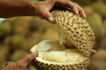 durian fruit hospitalises six and forces evacuation in germany