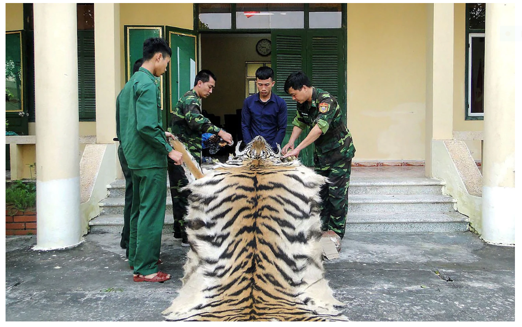 Vietnam's new ban on illegal wildlife trade and consumption welcomed by international community