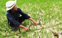 better weather forecasting to mitigate disaster losses pm
