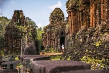 indian experts help vietnam restore my son sanctuary