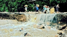 Vietnam forecast to witness 13 typhoons and depressions in 2018