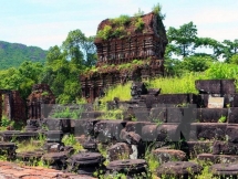 indian experts help vietnam restore my son sanctuary