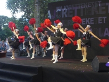 Cultural event celebrates 45 years of Belgium - Vietnam diplomatic relations