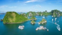 vietnam rice fields look amazing and monitory from the space