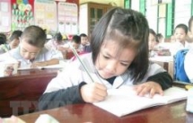 world vision vietnam gave 30 cows to the people of dien bien