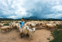 exploring the stunning beauty of ninh thuan province