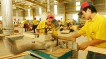 vietnam a rising star in wood exports