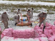 mechanical demining systems optimized to be cost effective