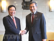 Vietnam, Singapore see strong all-round growth in strategic partnership