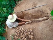 vietnam targets 7 pct gdp growth over next five years