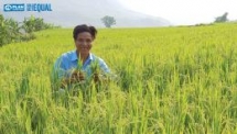 strengthening economic empowerment for youth and women in the sustainable value chain lai chau