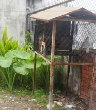 env steps up to prevent wildlife violations