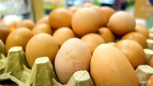 eu contaminated eggs scandal spreads to 45 countries