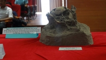 more prehistoric remains found in krong no volcanic caves
