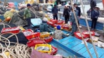 seafood specialties in ca mau mantis shrimp