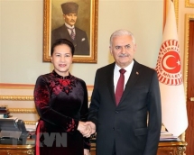 Vietnamese, Turkish top legislators hold talks