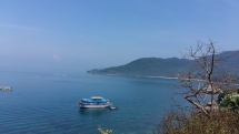 ecosystem off cham islands recovers after covid 19