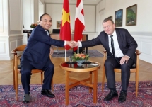 Vietnam, Denmark issue joint statement