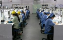 vietnam ranked 4th among most optimistic countries in the world despite pandemic