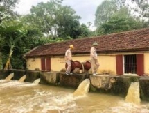 japans ngo builds vegetable processing facility in ben tre