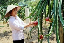 Increasing resources to support sustainable poverty reduction