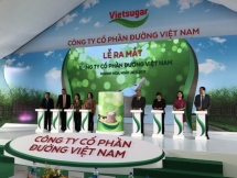 shares in vietnams dairy giant vinamilk soar by 4 percent after trip to china