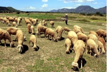 drought threatens farmers in south central region