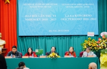 ninth asia oceania esperanto congress more than just words