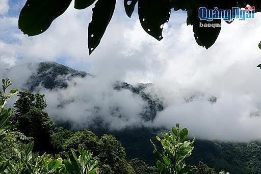 Ca Dam Mountain landscape. Photo: baoquangngai.vn Ca Dam Mountain landscape. Photo: baoquangngai.vn