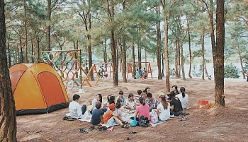Domestic Travel Slowly Restarts