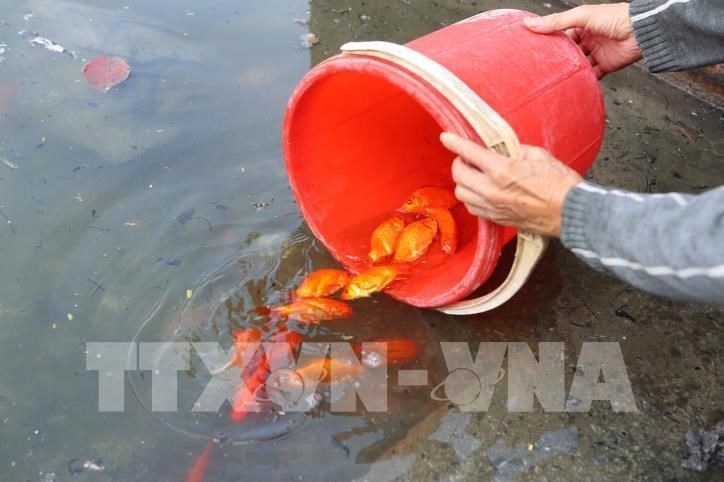 Обычай по выпуску в воду карпа в день Онг Конг Онг Тао Обычай по выпуску в воду карпа в день Онг Конг Онг Тао