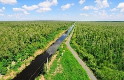 Развитие углеродного рынка во Вьетнаме