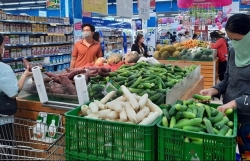 Прогноз АБР по росту вьетнамской экономики остается на уровне 6,5% в 2022 году