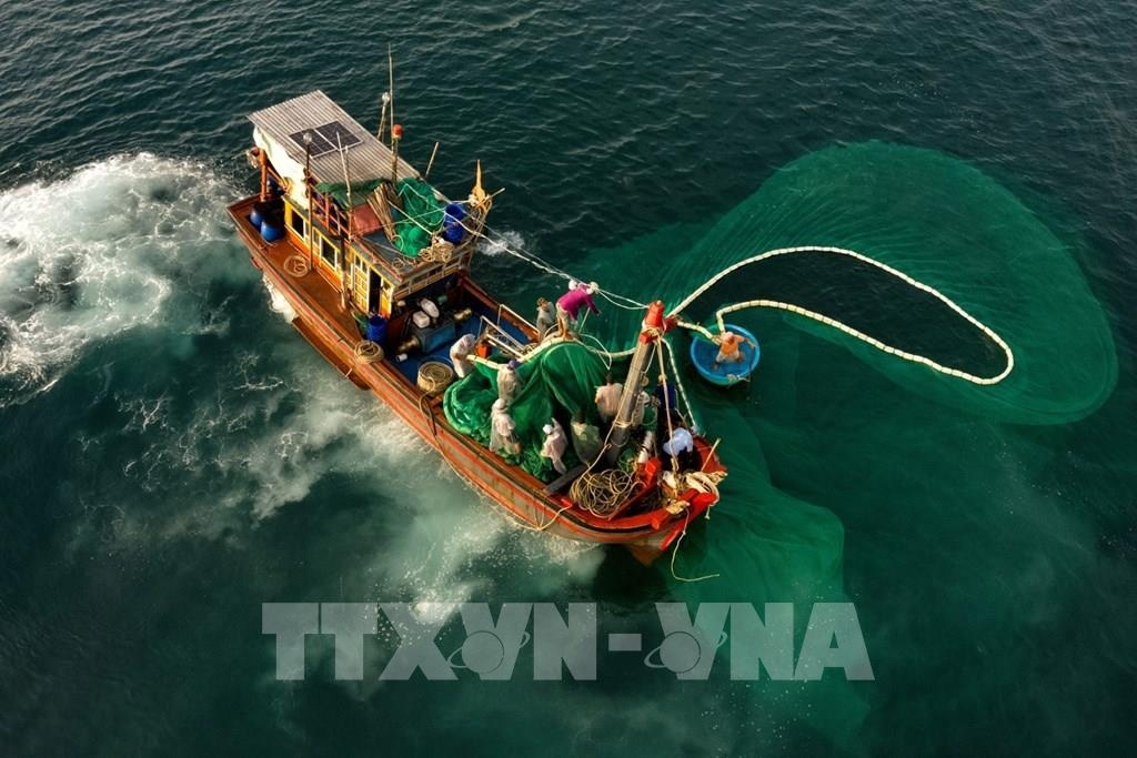 Прекрасные моменты рыболовных сетей в море Прекрасные моменты рыболовных сетей в море