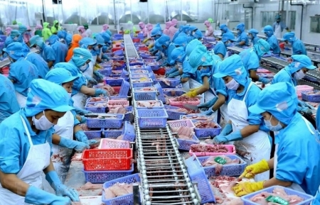 Экспорт сельскохозяйственной, лесной и рыбной продукции Вьетнама увеличился более чем на 13%