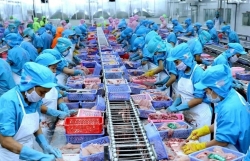 Экспорт сельскохозяйственной, лесной и рыбной продукции Вьетнама увеличился более чем на 13%