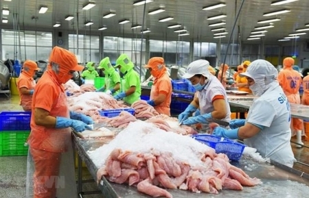 Положительное сальдо торгового баланса за 8 месяцев оценивается в 3,96 млрд долларов США