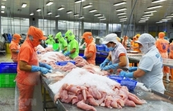 Положительное сальдо торгового баланса за 8 месяцев оценивается в 3,96 млрд долларов США