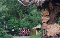 Селение Шиншуойхо – привлекательное туристическое направление в провинции Ляйтяу