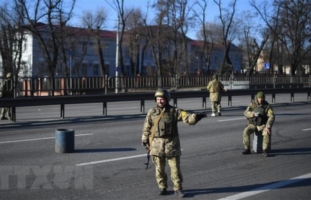 Россия и Украина обменялись пленными