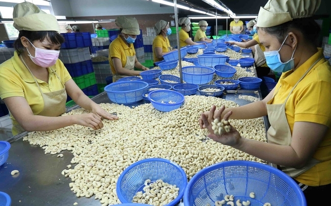 Экспортная стоимость 8 видов продуктов достигла более 2 млрд. долл. США каждая Экспортная стоимость 8 видов продуктов достигла более 2 млрд. долл. США каждая