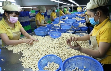 Экспортная стоимость 8 видов продуктов достигла более 2 млрд. долл. США каждая