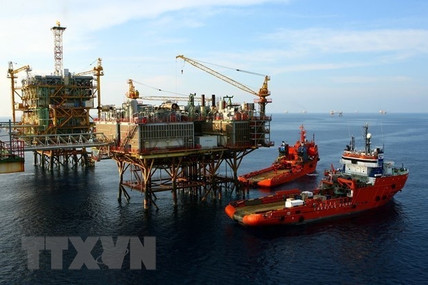 Добыча сырой нефти Petrovietnam достигает годовой цели Добыча сырой нефти Petrovietnam достигает годовой цели